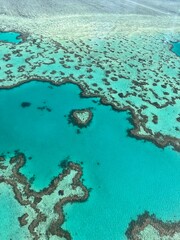 coral reef and sea