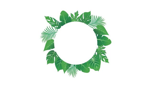 tropical leaf collection circle border animation. transparent background. alpha channel. repeating animation