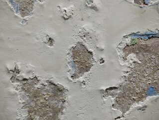 wall paint that is peeling because the wall is damp