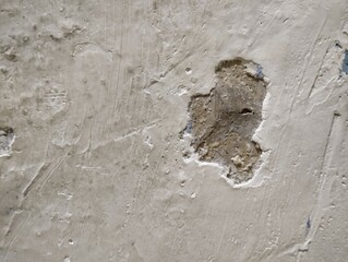 wall paint that is peeling because the wall is damp