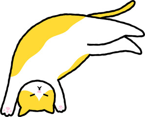 The cat colored with patches of yellow and white in a sleepy and relaxed pose is stretching with its back legs extended upward and its front legs bent forward, creating an almost inverted 'U' shape.