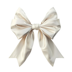 Elegant White Satin Bow