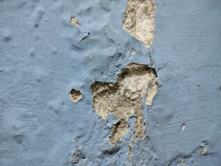 wall paint that is peeling because the wall is damp