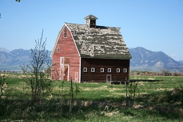 Obraz premium The Old Red Barn in Gallatin Valley Montana