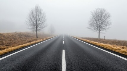 Fototapeta premium A serene road surrounded by fog and barren trees, suggesting a journey into the unknown, perfect for atmospheric themes.