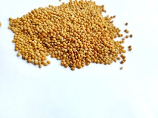 millet seeds on a white background. Millet seeds come from the millet plant, a type of cereal that has small seeds and is classified as a grass plant.