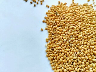 millet seeds on a white background. Millet seeds come from the millet plant, a type of cereal that has small seeds and is classified as a grass plant.