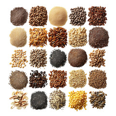 Collection of Grains and Seeds