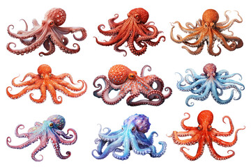 PNG octopus marine animal element set, transparent background