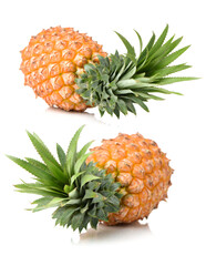 Pineapple on a white background