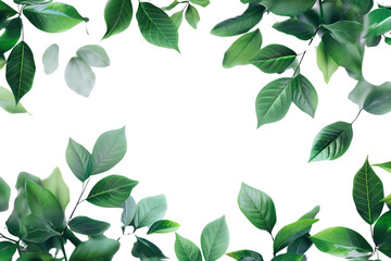 Green Leaves Frame