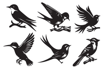 set of birds