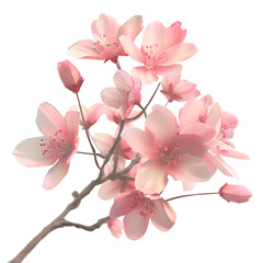 Obraz premium Delicate Pink Blossoms