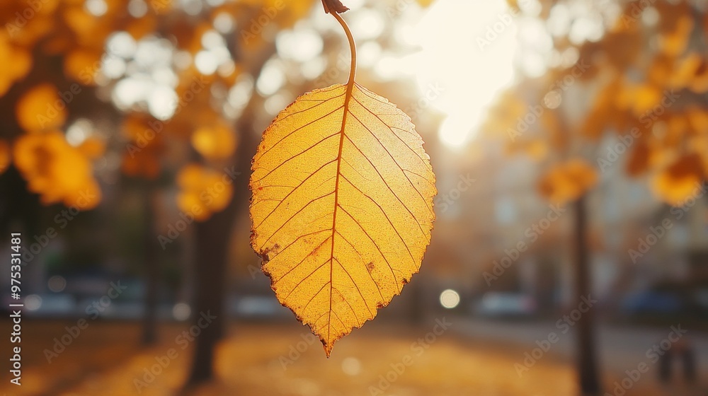 Poster close-up of yellow autumn leaf with golden bokeh background