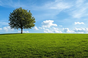 Obraz premium Green grass field lawn with tree and blue sky Green Meadows Beautiful Journey Through Nature Great as a background, web banner , ai