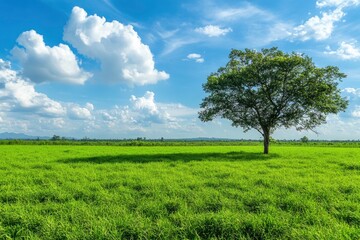 Green grass field lawn with tree and blue sky Green Meadows Beautiful Journey Through Nature Great as a background, web banner , ai