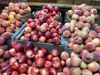 Close-up of fresh peaches and nectarines arranged in rustic wooden crates and baskets at a local produce market