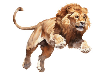 Obraz premium PNG Lion jumping mammal animal carnivora.