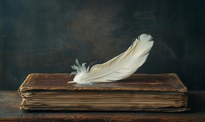 A minimalist image of a single, white feather quill on an old ledger book