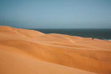 sand dunes in the desert