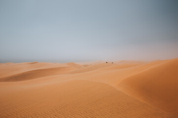 sand dunes in the desert