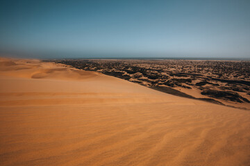 sand dunes in the desert