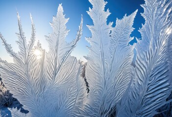 intricate frost patterns displaying beautiful ice formations delicate details unique designs, winter, texture, crystal, nature, surface, artwork