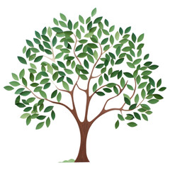 Obraz premium PNG Tree painting plant leaf. AI generated Image by rawpixel.