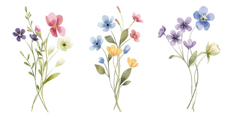 Floral set, watercolor digital illustration for greeting card, poster, invitation and other printing design. Isolated on white. Hand painting.