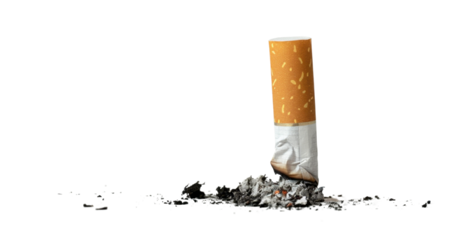 A cigarette with ash stubbed on transparent background