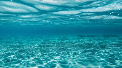 Explore the calm and clear underwater world with sunlight dancing on the surface, creating mesmerizing patterns on water.