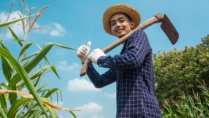 Happy Farmer in Cornfield Giving Thumbs Up, Agriculture Success
