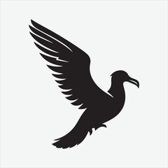 Albatross    vector design white illustrator