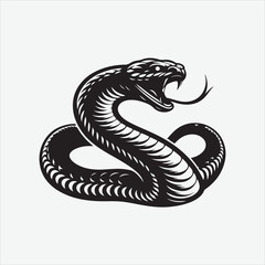 Anaconda  vector design white illustrator