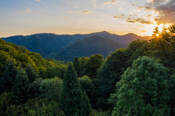 Durbaszka, Pieniny, Szczawnica, Małopolska, poland, EU