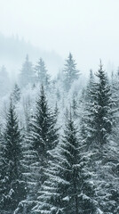 Fototapeta premium Snow dusted evergreen trees create serene winter wonderland, enveloped in mist and soft snowfall. tranquil atmosphere evokes sense of peace and beauty in nature