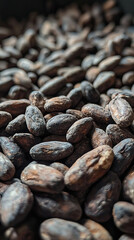 Obraz premium Dried cacao beans ready for roasting, showcasing their rich texture and earthy tones. These beans are essential for chocolate production and evoke sense of natural goodness