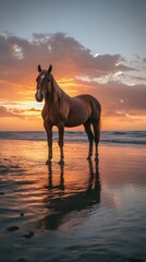Horse standing on beach at sunset, serene landscape. Nature and wildlife concept