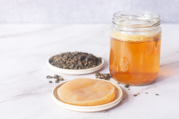 healthy Kombucha SCOBY 