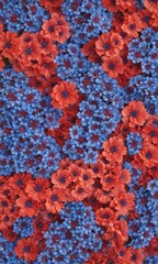 A vibrant floral arrangement featuring a mix of orange and blue flowers, creating a visually striking and harmonious composition.