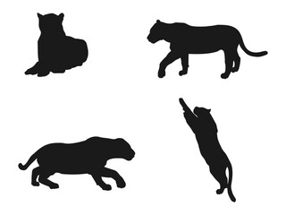 Set of wild jaguar silhouette vector illustration. Jumping, playing, standing, lying. Wild animals. Cats. black panther. Vector flat sitting tiger silhouette isolated on white background. 
