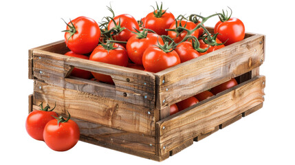Tomatoes in wooden box on transparent background