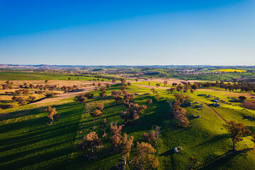 Naklejka premium The photo was taken of scenery along the way to Harden town, featuring fields of rapeseed flowers