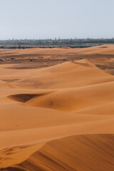 sand dunes in the desert
