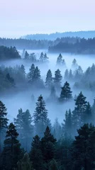 Plexiglas schilderij Mistig bos A serene landscape of Swedish forests at dawn, enveloped in mystical fog. tall trees stand majestically, creating tranquil atmosphere that invites reflection and peace  © Kitta Studio