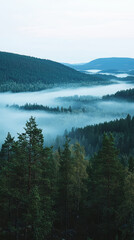 Obraz premium Fog rolling over Swedish forests at dawn creates serene and mystical atmosphere, showcasing beauty of nature in tranquil landscape