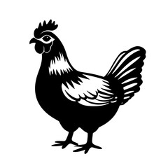 rooster isolated on white background vector illustration