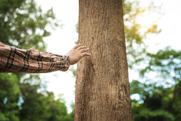 A man's hands gently touch the rough bark of a towering tree, symbolizing a deep connection with nature. In the forest, he embraces the importance of environmental care and protecting the planet.