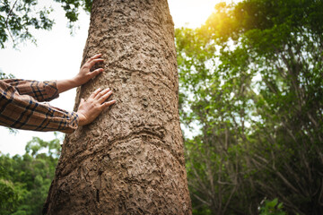 A man's hands gently touch the rough bark of a towering tree, symbolizing a deep connection with nature. In the forest, he embraces the importance of environmental care and protecting the planet.