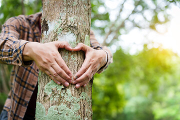Forest conservationist forms heart shape with their hands around a tree trunk in a peaceful park. love for nature, commitment to environmental protection, importance of sustainable ecosystems.